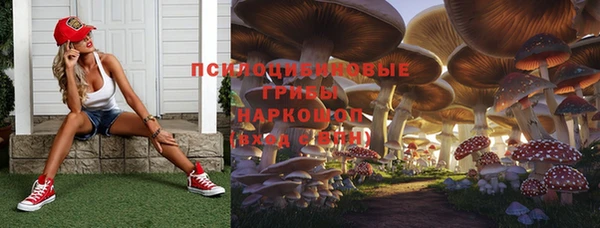 МДПВ Абаза