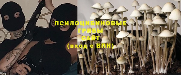 ГАЛЛЮЦИНОГЕННЫЕ ГРИБЫ Алексин