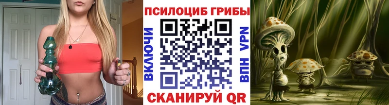 Галлюциногенные грибы Magic Shrooms Кедровый