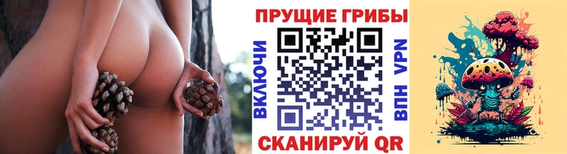 Псилоцибиновые грибы ЛСД  Кедровый 
